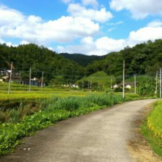 中國深圳創(chuàng)新創(chuàng)業(yè)大賽第三屆國際賽項目落地獎勵擬發(fā)放名單公示